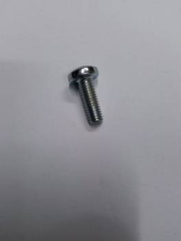 Kränzle     Linsenschraube M 5 x 14 mit Kreuzschlitz
