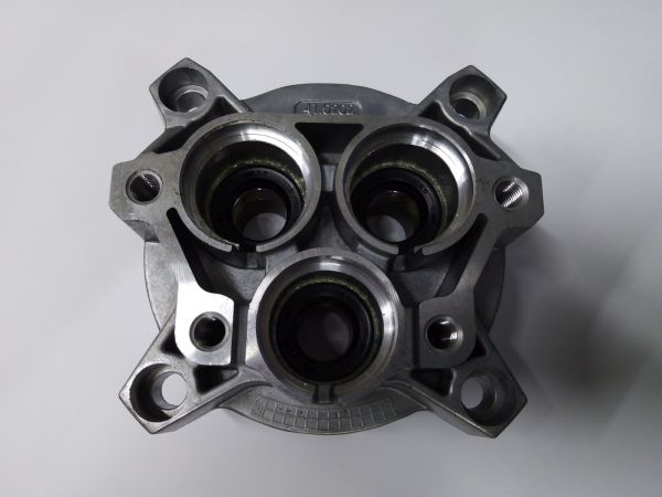 Kränzle     Gehäuseplatte AP für 18 mm Plunger